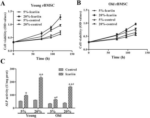 Figure 6. The rBMSC viability (A, B) and ALP activity (C) assay of rBMSCs from young and old rats after icariin treatment. Data are represented as the means ± SD (n = 6). *p< 0.05; **p< 0.01 and #p< 0.05 vs. its control group.