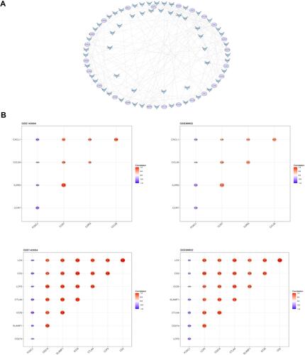 Figure 6 Construction of TF regulatory networks and correlation analysis. (A) TF-mRNA regulatory networks. Medium confidence score was used for the construction of regulatory networks. (B) Correlation analysis between TF FOXC1 and targeted genes.