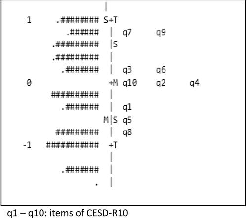 Figure 3 Variable map of CESD-R10.