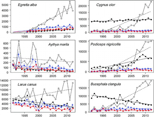 Figure 2. Comparison of annual indices and linear regressions fitted to them for November and January waterbird census counts and raw SOPM indices, as well as the two variants of SOPM indices that were standardized by resampling (variant 1: resample records, variant 2: resample visits) for six example species (left column: A category species, right column: B or C category species; see text). Observed counts or SOPM indices and trend lines are shown for waterbird census data (black filled circles, solid line), raw SOPM index (open circles, dashed line) and standardized SOPM indices (variant 1: blue, variant 2: red). Error bars in standardized SOPM indices represent 1 se. For plots of all species, see the supplementary online materials).