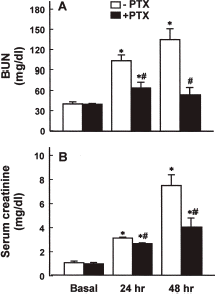 Figure 1. Effect of pentoxifylline (PTX) pretreatment on BUN, (A) and serum creatinine, (B) levels in cisplatin-injected rabbits. Data are means ± SEM of five animals in each group. *p<0.05 compared with the respective basal value; #p<0.05 compared with cisplatin alone (−PTX).