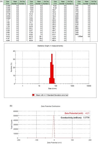 Figure 2. (a) Zetasizer Measurement of NP-Pro (b) Zeta Potential Distribution of NP-Pro.