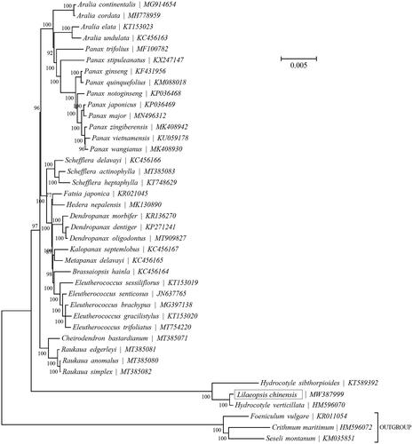 Figure 1. Bayesian Inference (BI) phylogenetic analysis inferred from 37 complete chloroplast genomes. The bootstrap values were based on 1000 resamplings and are placed next to the branches.