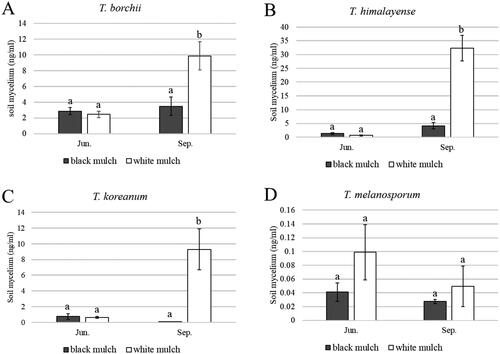 Figure 6. Mycelial biomass of Tuber spp. under black mulch and white mulch. (A) Tuber borchii; (B) Tuber himalayense; (C) Tuber koreanum; and (D) Tuber melanosporum. Mean values ± standard error. Different letters above the bars show significant differences (LSD tests, p < 0.05).