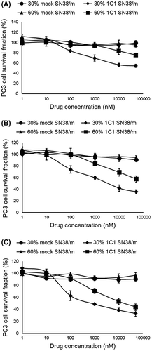 Figure 10. In vitro cytotoxicity of 30% 1C1-PEG23-, 60% 1C1-PEG23-, 30% mock-PEG23- and 60% mock-PEG23-SN38/m against PC3 cells after (A) 24, (B) 48 and (C) 72 h incubation. Data are shown as average ± SD from four experiments.