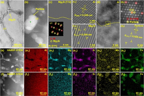 Figure 3. Details of TEM analysis of microstructure of the as-LPBFed Al–5Mg2Si–2Mg–2Fe alloy: (a–d) the interface relationships between Al matrix and Mg2Si as well as white particles; (e, e1–e5; f, f1–f5) showing the elemental mapping of the cells and MPB zone where particle enriches, respectively.