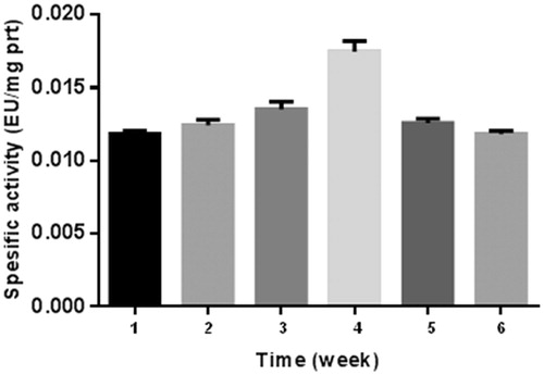 Figure 2. Interval training graph. 1: control, 2: 1st week before training, 3: 1st week after training, 4: 2nd week after training, 5: 4th week after training, 6: 6th week after training.