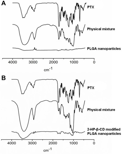 Figure 5 Infrared spectrogram of PLGA nanoparticles and 2-HP-β-CD/PLGA nanoparticles (A) PLGA NPs; (B) 2-HP-β- CD/PLGA NPs.