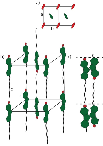 Figure 4. (Colour Online) Proposed packing model of the SmE phase of 17(O-12) in (a) top view, (b) side view and the proposed packing model of the SmA bilayer (c).