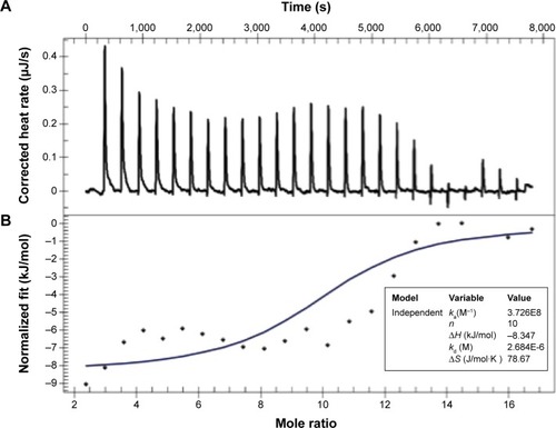 Figure 4 Calorimetric titration of siRNA with STR-HK at 25°C in RNase-free water at pH 6.Notes: (A) Corrected thermogram of calorimetric titration of siRNA with STR-HK. (B) Binding analysis of siRNA with STR-HK by fitting the raw data with an independent model. STR-HK concentration was 500 μM, and siRNA concentration was 10 μM.Abbreviations: RNase, ribonuclease; siRNA, small interfering RNA; s, seconds.