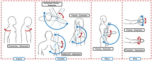 Figure 1. Main movements of the upper limb considered for mechanical design.