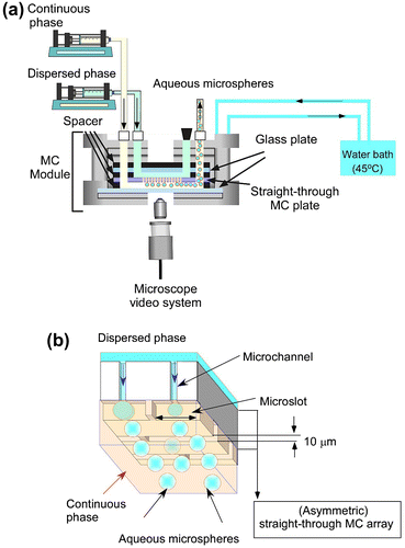 Fig. 2. Simplified representation of MCE.Notes: (a) experimental set-up used in this work for straight-through MCE. (b) Generation process of aqueous microspheres in MCE.