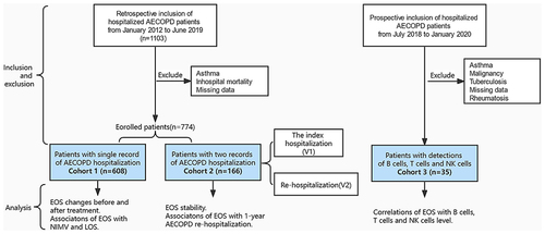 Figure 1 Cohort diagram: Study population.