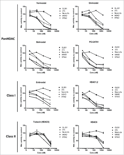 Figure 1. Neuroblastoma cells are sensitive to HDACi-mediated cell death. (A) TH-MYCN derived 9464D and 975A2 neuroblastoma cells, Neuro-2a neuroblastoma, GL261 glioblastoma and 3T3 fibrosarcoma cells were incubated for 36 h with 32, 256, 2048 and 16384 nM of the indicated HDACi. Following a 36 h incubation, standard MTT assays were performed, metabolic activity was compared to control treated cells and plotted in dose response curves (*p < 0.05 for 9464D or 975A2 vs. Neuro-2a or GL261 or 3T3). Representative graphs of three independent experiments are shown.