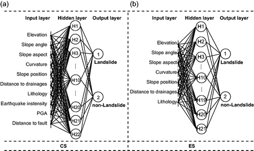 Figure 14. Architectures of the ANN models: (a) CS model and (b) ES model.