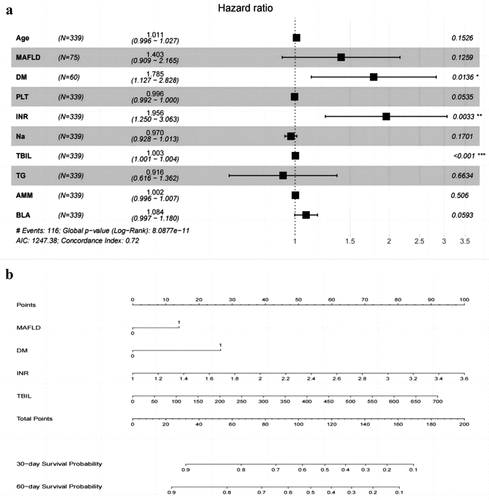 Figure 3. Forest plot and nomogram for patients with HBV-related ACLF. Forest plot of prognostic risk factors for patients with HBV-related ACLF based on multivariate cox regression analysis (a). The nomogram predicted the probability of 30- and 60-day survival rate (b). HBV: hepatitis B virus; ACLF: acute-on-chronic liver failure; MAFLD: MAFLD: metabolic associated fatty liver disease; DM: diabetes mellitus; PLT: platelet count; INR: international normalized ratio; na: Natriumion; TBIL: total bilirubin; TG: Triglyceride; AMM: Ammonia; BLA: blood lactic acid; ACLF: acute-on-chronic liver failure.