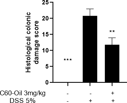 Figure 4 Microscopic scoring of DSS-induced colonic histological damage in Wistar rats. Values are presented as the mean ± standard deviation. **p<0.01;***p<0.001 statistical comparison with DSS group.