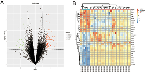 Figure 1 Sex-related differentially expressed genes (DEGs) in atherosclerosis. (A) DEGs between male and female samples. (B) Heatmap of Top 30 DEGs.