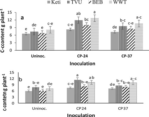 Figure 1. The interactive effect of variety x Bradyrhizobium on shoot C content (a) in 2018 and (b) in 2019 for data combined across three sites. Data presented are mean values; vertical lines on bars represent standard errors. Uninoc.: Un-inoculated, Keti: Keti (IT99K-1122); BEB: Black eye bean; WWT: White wonderer trailing.