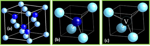 Figure 3. (a) Atomic structure of DCL, (b) subunit cell (D1), and (c) subunit cell (D2).