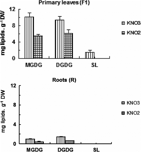 Fig. 4 Effects of increasing nitrite concentration on glycolipids molecule content (MGDG, monogalactosyldiacylglycerol; DGDG, digalactosyldiacylglycerol; SL, sulfolipids) in primary leaves (F) and roots (R) of tomato seedlings after 7 days exposure to increased concentration of KNO2 or KNO3 in the culture medium. Values are means ± E.S (n = 6). SE is indicated by bars when larger than symbol. The least significant differences (LSD) at 5% were used for mean comparison. Fig. 4. Effets des concentrations élevées de nitrite sur la teneur des molécules de glycolipides (MGDG, monogalactosyldiacylglycerol; DGDG, digalactosyldiacylglycerol; SL, sulfolipids) des feuilles matures (F1) et des racines (R) des plants de tomate exposés pendant 7 jours à des concentrations élevées de KNO2 ou de KNO3 dans le milieu de culture. Chaque point est la moyenne de 6 répétitions ± SE, intervalle de confiance calculé au seuil de probabilité 95%.