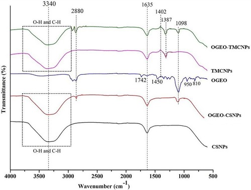 Figure 4 FTIR spectra of chitosan and N, N, N-trimethyl chitosan nanoparticles, free OGEO and OGEO-loaded nanoparticles.Abbreviation: FTIR, Fourier-transform infrared spectroscopy.