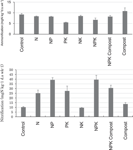 Figure 5. Ammonification under flooded condition and nitrification under aerobic condition.