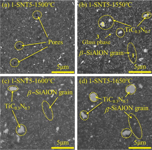 Figure 3. Typical back scattering electron micrographs on the polished surfaces of the representative 1-SNT5 sample with 5.0 wt.% TiC0.3N0.7 after pressureless SPS at different temperatures, consists of the dark gray phase region, the bright white phase region and the white phase region