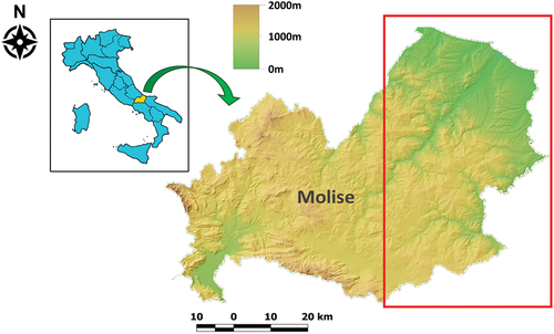 Figure 1. Overview map of the study area. Within the inset the map of Italy, highlighting in yellow the Molise region. In the digital terrain model of the region the red rectangle indicates the area pertaining the studied vineyards.