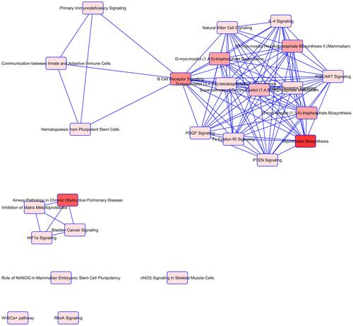 Figure 2 Overlapping Canonical Pathways map generated by Ingenuity Pathway Analysis. A pathway network was generated representing from the top of overrepresented pathways determined by IPA, to reveal shared biology among the identified candidate genes. Notes: edge-connected canonical pathways share one or more genes in common. Nodes represent pathways and bright red represents more significant canonical pathways in the gene set. The canonical pathways map was generated by QIAGEN’s Ingenuity Pathway Analysis (QIAGEN Inc., https://www.qiagenbioinformatics.com/products/ingenuity-pathway-analysis).