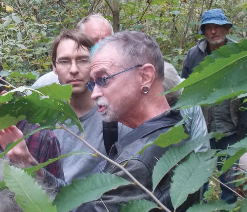 Figure 2. Tom in the forest, his favorite classroom, gathered around a surviving American chestnut tree with Todd Osmundson, Chuck Soden, and John Steinke behind him. Alexander H. Smith Mycological Foray, near La Crosse Wisconsin, 2013. Photo by Hal Burdsall.