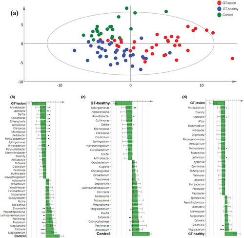 Figure 4. Differences in the lingual microbiota compositions of patients with GT and controls. The presence or absence of 403 identified OTUs was checked in each individual of the three groups. (a) Principal component analysis. Each symbol represents one individual. The 2D illustration shows that subjects that belong to the same group tend to cluster together, whereas those that belong to different groups remain separated from one another. (b–d) Orthogonal partial least square analysis loading plots. Shown are those OTUs that contribute most to distinguishing between the GT-lesion group and the control group (b), the GT-healthy group and the control group (c), and the GT-lesion group and the GT-healthy group (d). OTUs that show the strongest contribution to the respective models were tested for differences in prevalence using Fisher’s exact tests (or paired t-tests for paired samples). *p < 0.05; **p < 0.01; ***p < 0.001; and §p < 0.05 for paired t-test.