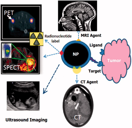 Figure 1. Concept of contrast agent based on NPs in varius modality of imaging [Citation101].