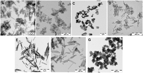 Figure 4. Representative electron microscopy images of the five organic pigments. Mixed chlorinated DPP isomers (A), fine Pigment Red 254 (B), coarse Pigment Red 254 (C), fine meta-chloro DPP (D) and coarse meta-chloro DPP (E) and the two inorganic fine Pigment Red 101 (F) and coarse Pigment Red 101 (G).