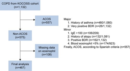 Figure 1 Patient selection flow.