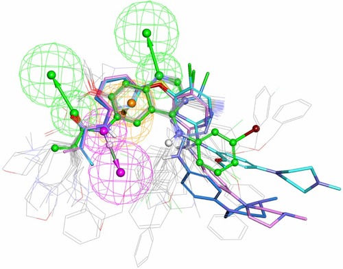 Figure 5 In total, 21 irreversible TKIsCitation4,Citation34–Citation37 in the testing set (refer to Table S2 in supplementary materials) were mapped on the common pharmacophore feature generated from compound T-001.Citation37 T-001 is depicted by the stick and its carbon atoms are colored in green. WZ-3146Citation4 is depicted by the stick and its carbon atoms are colored pink; WZ-4002Citation4 is depicted by the stick and its carbon atoms are colored sky blue; WZ-8040Citation4 is depicted by the stick and its carbon atoms are colored blue.
