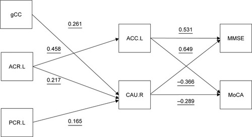 Figure 4 Regression-based model of relationships among gray matter density, white matter volume, and MMSE/MoCA scores.