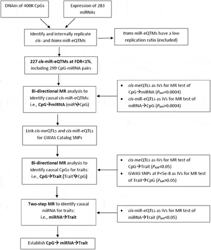 Figure 1. Analysis Flowchart.Pair-wise associations between over 400K CpGs and 285 miRNAs were performed to identify cis- and trans-miR-eQTMs. Internal replication suggested cis- but not trans-miR-eQTMs are replicable. Therefore, the following analysis focused on cis-miR-eQTMs. For each cis-miR-eQTM CpG-miRNA pair, bi-directional MR analysis was used to identify CpG→miRNA pairs (i.e. the changes of DNAm driving the changes of miRNAs but not vice versa). Then, we linked cis-meQTLs with human complex traits, bi-directional MR analysis was used to identify CpG→Trait. Two-step MR analysis was used to further identify miRNA→Trait to establish CpG→miRNA→Trait.