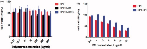 Figure 9. (A) Cytotoxicity of test of NPs, NPs/HAase and NPs/HAase/geltain in HepG2 cells after 24 h incubation. (B) Cytotoxicity of test of NPs-EPI and free EPI in HepG2 cells after 24 h incubation.