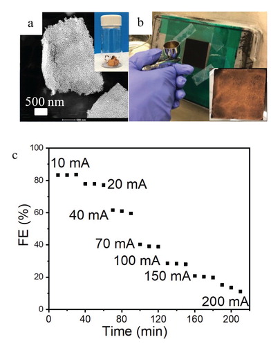 Figure 3. Nanoporous gold leaf powders: (a) STEM image showing the representative microstructure of a npAu leaf flake. Inset in (a) shows a photo of npAu leaf powder. (b) npAu leaf ink spray coating process and the inset shows an optical image of the 25 cm2 gas diffusion electrode after coating. (c) Faraday efficiency for CO of npAu leaf ink-GDL assemblies with a npAu loading of 0.32–0.35 mg/cm2.