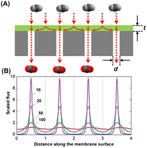 Figure 7. (a) Schematic illustration of the gas flux through the membrane (green) and porous support (gray). The membrane thickness and pore diameter of the porous support are t and d, respectively. (b) The scaled flux shown for various values of the scaled thickness, H = d/t, reproduced from Ramon et al. [Citation46].