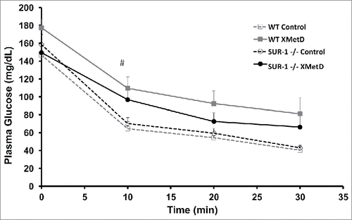 Figure 5. Insulin Tolerance Test. Plasma glucose in response to an insulin (1 U i.p.) in wild-type mice treated with control antibody (n = 10), wild-type mice treated with XMetD (n = 10), SUR-1 −/− mice treated with control antibody (n = 10), SUR-1 −/− mice treated with XMetD (n = 10). # Slope of decline: 4.9 ± 0.9 in SUR-1 −/− control vs. 3.5 ± 0.8 in SUR-1 −/− XMetD, P≤0.005.
