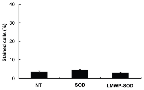 Figure S1 The viability of DPSCs treated with SOD1 or LMWP-SOD1 was elucidated by cell cycle analysis.Notes: SOD1 and LMWP-SOD1 (2 μM) were incubated with cells for 30 minutes, the cells were washed twice with phosphate-buffered solution, and then incubated with 1% trypsin-ethylenediamine tetra-acetic acid for 10 minutes. After incubation, the cells were washed twice with phosphate-buffered solution and fixed with 70% ethyl alcohol for one hour. The cells were then washed twice with phosphate-buffered solution and incubated with propidium iodide and RNase. Cells stained with propidium iodide were observed by flow cytometry.Abbreviations: LMWP, low molecular weight protamine; SOD1, superoxide dismutase; DPSCs, human dental pulp stem cells, NT, no treatment.