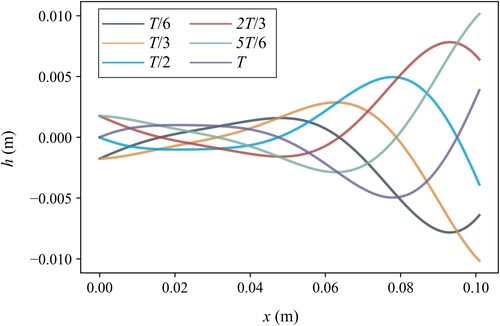 Figure 3. Mid-line motions of chordwise fish body in one beating period.