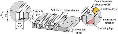 Figure 1. Schematic design of the piezo-metal module and the nominal dimensions.