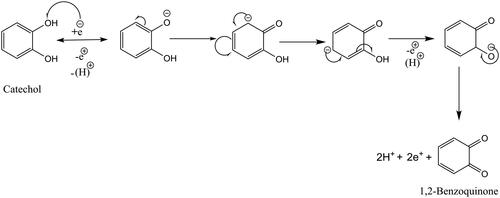 Scheme 1. Redox mechanism of CC.