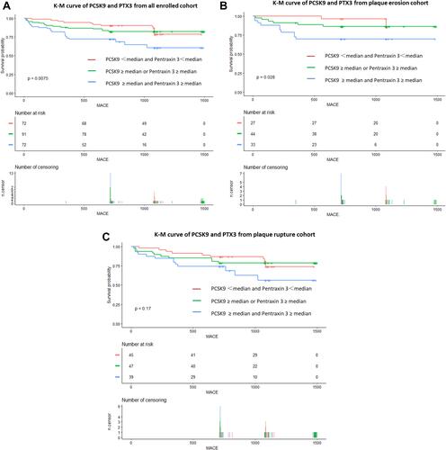 Figure 4 Kaplan–Meier Curves of MACE stratified by achieved PCSK9 and PTX3 in the setting of all enrolled cohort or plaque rupture/ plaque erosion. (A), Kaplan–Meier Curves of MACE stratified by achieved PCSK9 and PTX3 in the setting of all enrolled cohort. Test of trend: P = 0.00075. (B), Kaplan–Meier Curves of MACE stratified by achieved PCSK9 and PTX3 in the setting of patients with plaque erosion. Test of trend: P = 0.028. (C), Kaplan–Meier Curves of MACE stratified by achieved PCSK9 and PTX3 in the setting of patients with plaque rupture. Test of trend: P = 0.170.