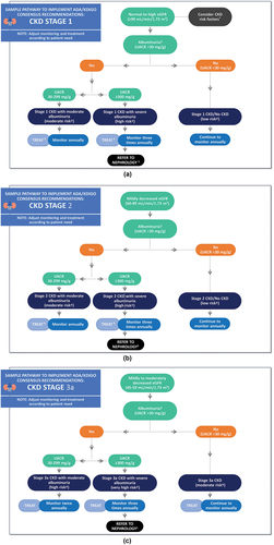 Figure 1. Sample CKD clinical care pathways for people with T2D based on UACR and eGFR. These are examples of pathways for implementation of the KDIGO heat map that is included in the ADA-KDIGO consensus report [Citation15]. It is not intended to prescribe an exclusive course of management. Clinicians should consider the individual needs of their patients. Monitoring may include performing an eGFR, UACR, and/or additional tests according to patient needs (e.g. if they have other comorbidities) and/or monitoring for possible drug side effects (e.g. hyperkalemia should be monitored/managed in patients taking a RASi or ns-MRA). *Consider risk factors for CKD such as advancing age (especially >65 years), genetic factors, family history of T2D, family history of DKD (including age at diabetes onset between 5 and 15 years), family history of CKD, metabolic syndrome, obesity, insulin resistance, smoking, high blood pressure, racial and ethnic minority group, and use of nephrotoxic agents. †Risk of CKD progression. Patients are considered low risk if they have an eGFR ≥60 mL/min/1.73 m2 and a UACR <30 mg/g and have no CKD/no other markers of kidney disease (e.g. hematuria, polycystic kidney disease, renovascular kidney disease, electrolyte abnormality etc.). ‡Author perspective: In primary care, patients with stage 1 or stage 2 CKD are typically treated with RASis (first-line) followed by SGLT2 inhibitors. The individual patient should be considered when choosing/initiating treatment. §Author perspective: Other reasons to refer to nephrology at all CKD stages include conditions such as gross hematuria or persistent microscopic hematuria, massive proteinuria, rapidly progressive decline in eGFR, and uncontrolled hypertension. ADA = American Diabetes Association; CKD = chronic kidney disease; DKD = diabetic kidney disease; eGFR = estimated glomerular filtration rate; KDIGO = Kidney Disease Improving Global Outcomes; ns-MRA = nonsteroidal mineralocorticoid receptor antagonist; RASi = renin angiotensin system inhibitor; SGLT2 = sodium glucose cotransporter-2; T2D = type 2 diabetes; UACR = urine albumin-to-creatinine ratio.