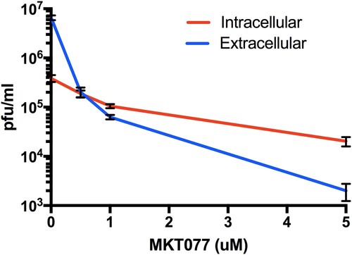 Figure 7. Role of Hsp70 in ZIKV release step. Titres of intra- and extra-cellular virus production in the presence or absence of MKT077 are shown. Following pre-treatment with 0.5, 1, and 5 µM MKT077, Huh7.5 cells were infected with ZIKV (0.1 MOI. Free virus (supernatants) and cell-associated viruses were collected 48-h post-infection. Infectious viral titres were determined by plaque assay. Error bars denote 95% confidence intervals. N = 6 per data point. Error bars denote standard error of the mean. Virus production was significantly different from between intracellular vs. extracellular compartments (P < .0001), as well as MKT007 concentration (P < .0001). There was a significant interaction term (P < .0001) noted by the crossing of the lines at 0.5 µM MKT007.