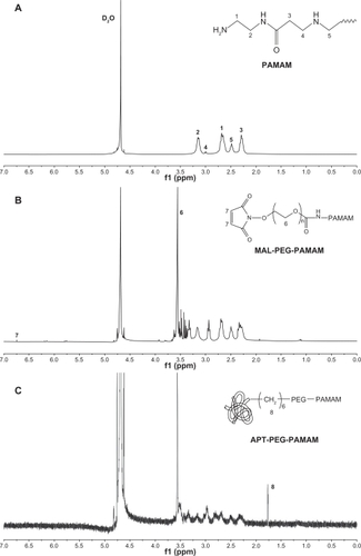 Figure 1 NMR spectra of (A) PAMAM, (B) PAMAM-PEG, and (C) PAMAM-PEG-APT in D2O at 300 mHz.Abbreviations: PAMAM, polyamidoamine; PEG, polyethylene glycol; APT, aptamer.